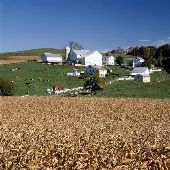 Shipshewana