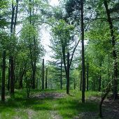 Black Pine Animal Park