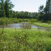 Angel Mounds - State Historic Site