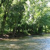 Burr Oak Bend Nature Preserve