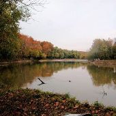 Fishing Creek Farm