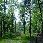 Black Pine Animal Park