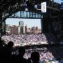 Lucas Oil Stadium