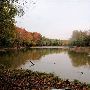 Fishing Creek Farm