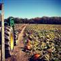 Hendricks County