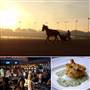 Hoosier Park