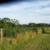 Eklund Farm