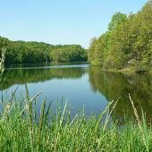 Maumee Boy Scout Camp