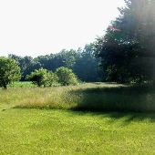 Property (Popplewell)