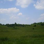 Property (Fisher - Prairie)