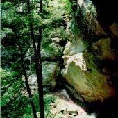 Hoosier National Forest
