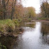 Property (Carter)