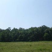 Property (Shireman)
