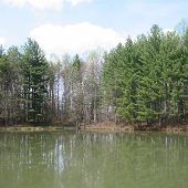 Frank Ratcliff Memorial Forest