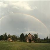 Phoenix Fields Farm