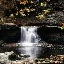 McCormick's Creek State Park