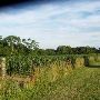 Eklund Farm