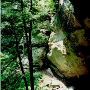 Hoosier National Forest