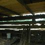 Buffalo Run Farm