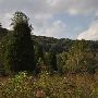 Property (Carter)