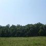 Property (Shireman)