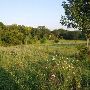 Property (Anderson)