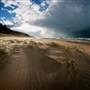 Indiana Dunes State Park