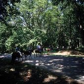 Brown County State Park