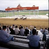 Goshen Historic Track