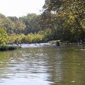 O'Bannon Woods State Park