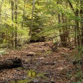 Hajji Hollow Nature Preserve