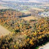 Burnett Woods Nature Preserve