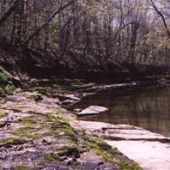 Property (Greemann-Greathouse)
