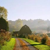 Brown County