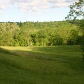 Whitetail Ridge