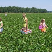 Noble County