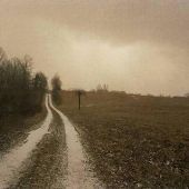 Martin County