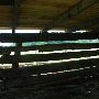 Buffalo Run Farm