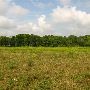 Property (Finke)