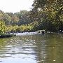 O'Bannon Woods State Park