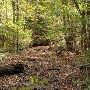 Hajji Hollow Nature Preserve