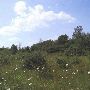 Property (Applegate)