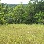 Rambling Acres