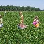 Noble County