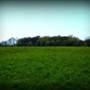 Hollywood Farm