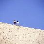 Indiana Dunes State Park