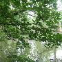 Property (Rutherford)