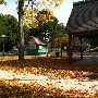 Shawn Grove Park