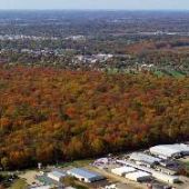 Wesselman Woods Nature Preserve