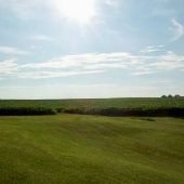 Sparks Farm